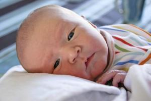 Ewan William Matheson Ewan William Matheson