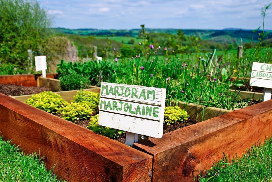 Potager Potager
