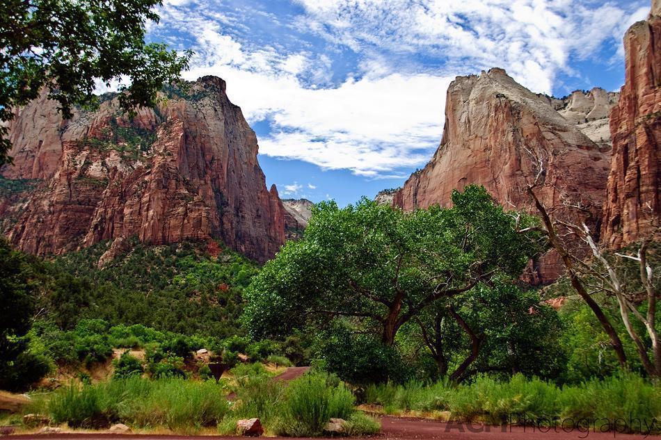 Zion National Park Hiking in Zion National Park