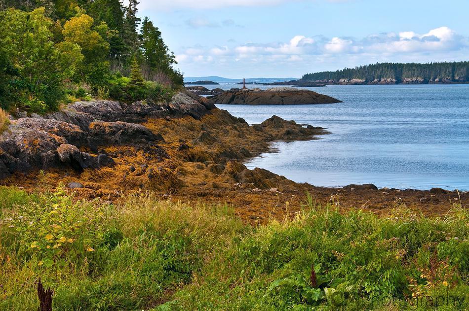 Rocky Coastline 20100827 Canada 02271 Where Am I? | Photo Friday