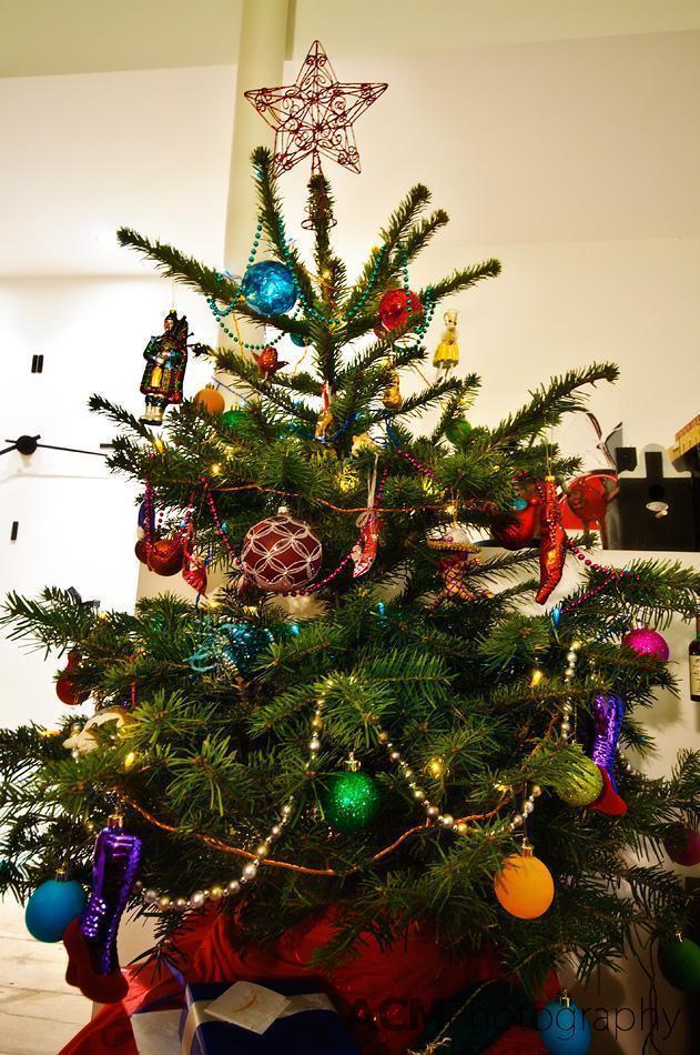 Our Christmas Tree Our Christmas Tree