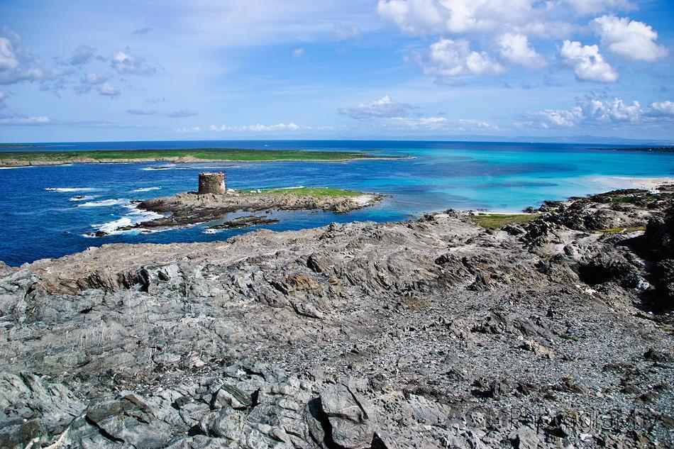 Asinara Island and Torre de La Pelosa Asinara Island and Torre de La Pelosa