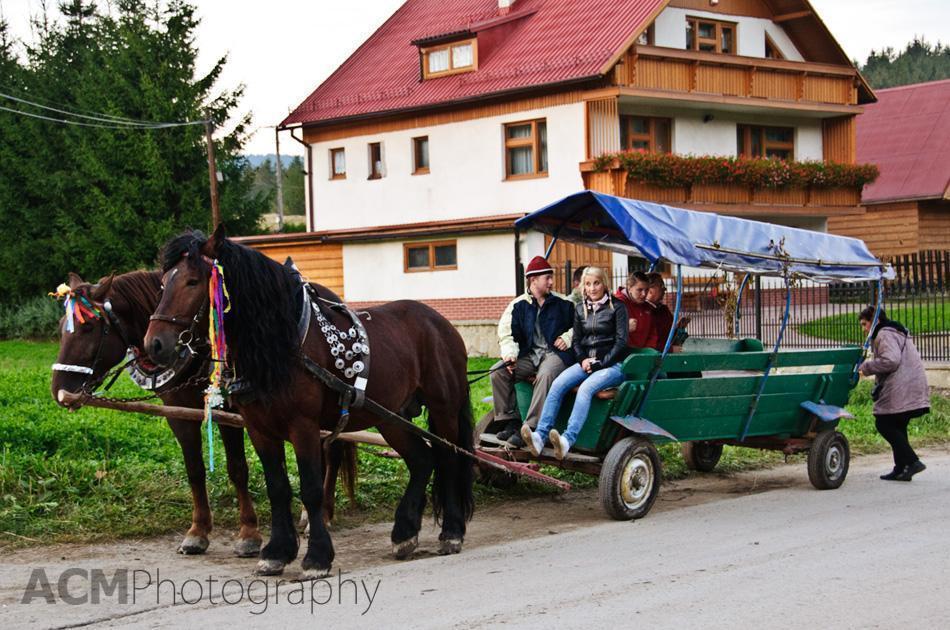 Horse cart in Istebna Horse cart in Istebna