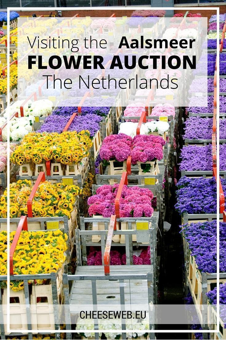 Aalsmeer Flower Auction The Netherlands