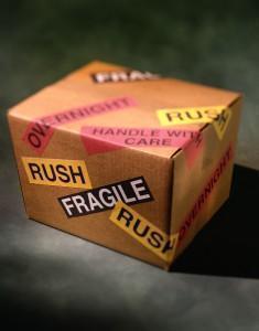 Special Delivery for CheeseWeb Newsletter Subscribers 954381 58369817 235x300 Newsletter Update and Freebie for Subscribers