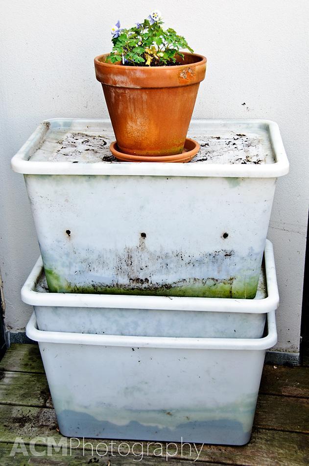 Terrace Composting setup Terrace Composting setup