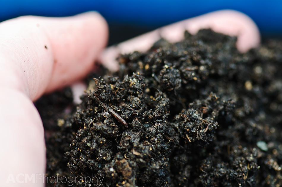 Terrace Composting Terrace Composting