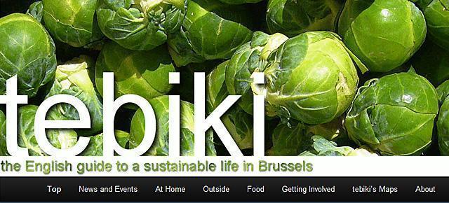 Sustainable Travel and Living in Brussels - An Interview with Xavier Auclert