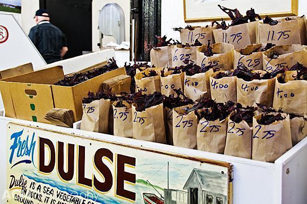 Dulse in New Brunswick Dulse in New Brunswick