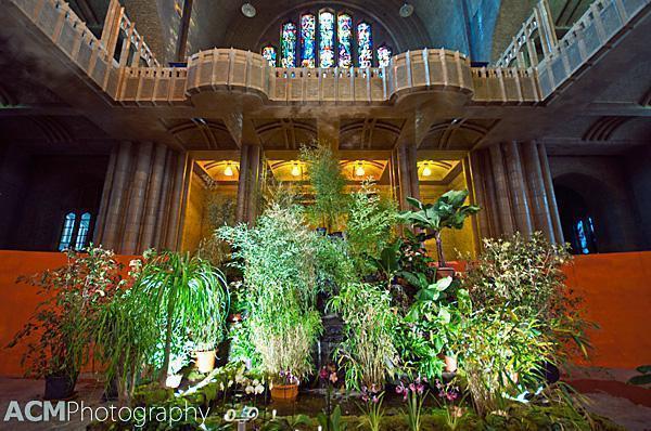 Magic of Orchids show at Koekelberg Basilica, Brussels 20120203 orchid 0033 The Magic of Orchids Basilica of Koekelberg, Brussels