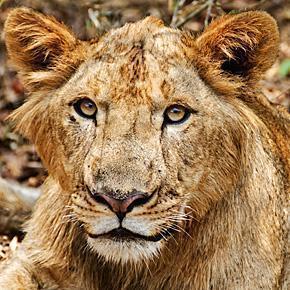 Our ten Favourite Photos of Animals Our ten Favourite Photos of Animals