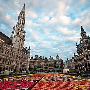 20120815 0006 2012 Flower Carpet, Grand Place, Brussels, Belgium