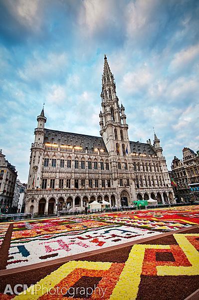 20120815 0017 2012 Flower Carpet, Grand Place, Brussels, Belgium