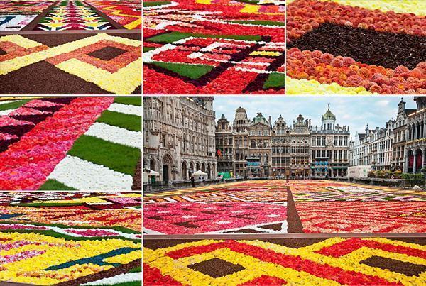 flower carpet 1 2012 Flower Carpet, Grand Place, Brussels, Belgium