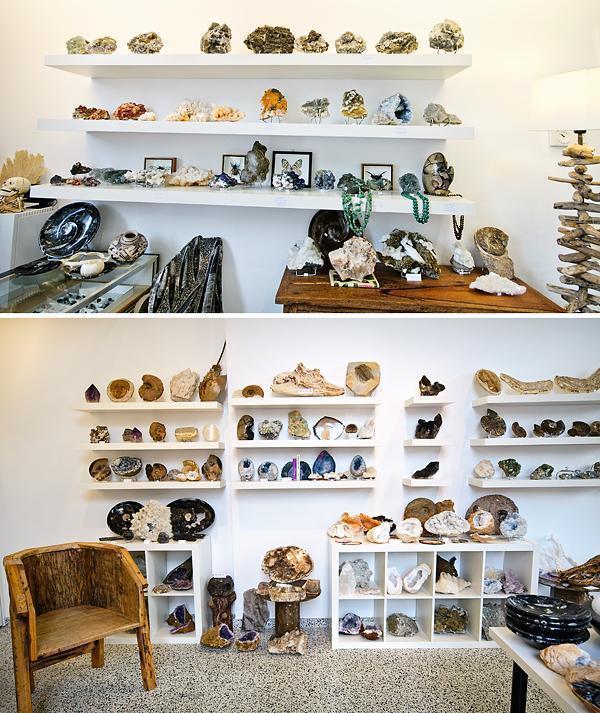 Some pieces in the Fossilmar shop are 550 million years old