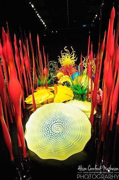 Chihuly's magical garden