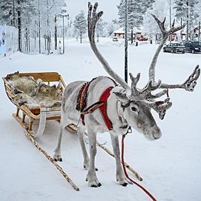 Enjoy a family holiday in Lapland