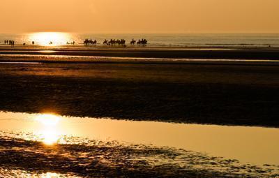 DePanne 05 thumb 400x255 Summer   Came and Went