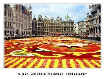 Flower Carpet Brussels 2006 carpetgallery Flower Carpet Brussels 2006