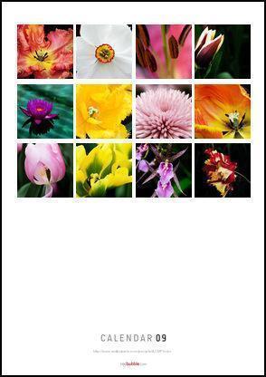 flowercalendarback Fabulous Flowers 2009 Calendar Available Now