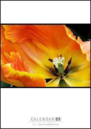 flowercalendarfront Fabulous Flowers 2009 Calendar Available Now