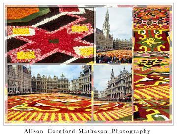 Flower Carpet Brussels 2006 flowercarpegalleryt Flower Carpet Brussels 2006
