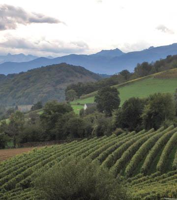 Tour Daze France Part 4 The Pyrenees to Pau tourfrance20060204 Tour Daze France Part 4 The Pyrenees to Pau