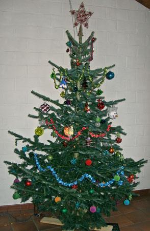 tree0003 The Diva Tree