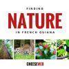 3 Easy Ways to See Nature in French Guiana
