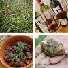 7 (Mostly) Foodie Activities in Castelfalfi, Tuscany, Italy