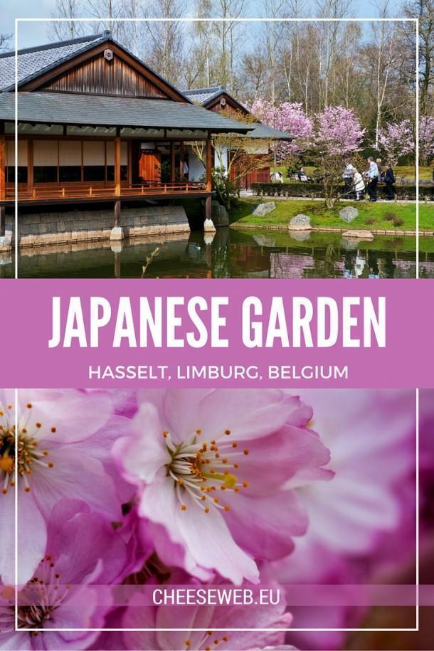 The Japanese Garden of Hasselt, Belgium Cheese