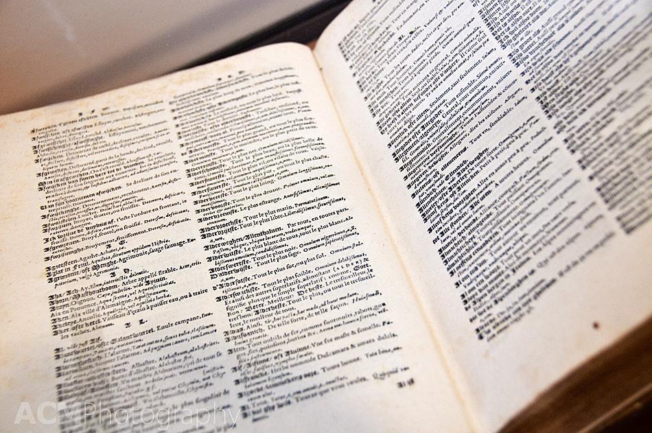 First Dutch Dictionary