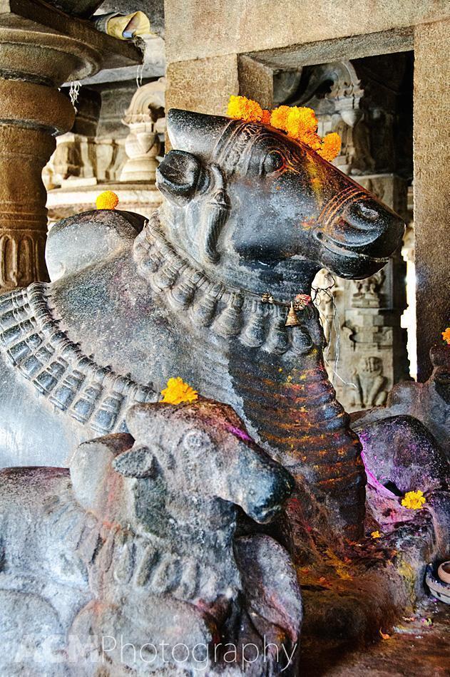 Nandi Statues in the Bhoganandishwara Temple
