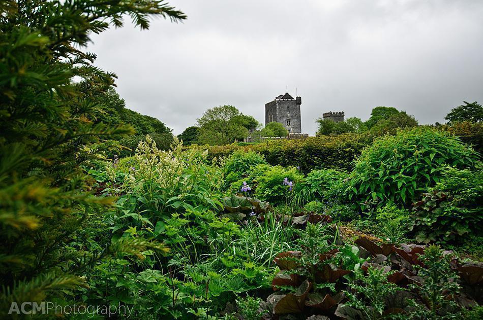 Knappogue Castle from the Walled Garden