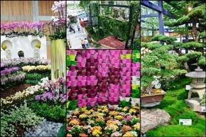 floriade venlo horticultural cheeseweb