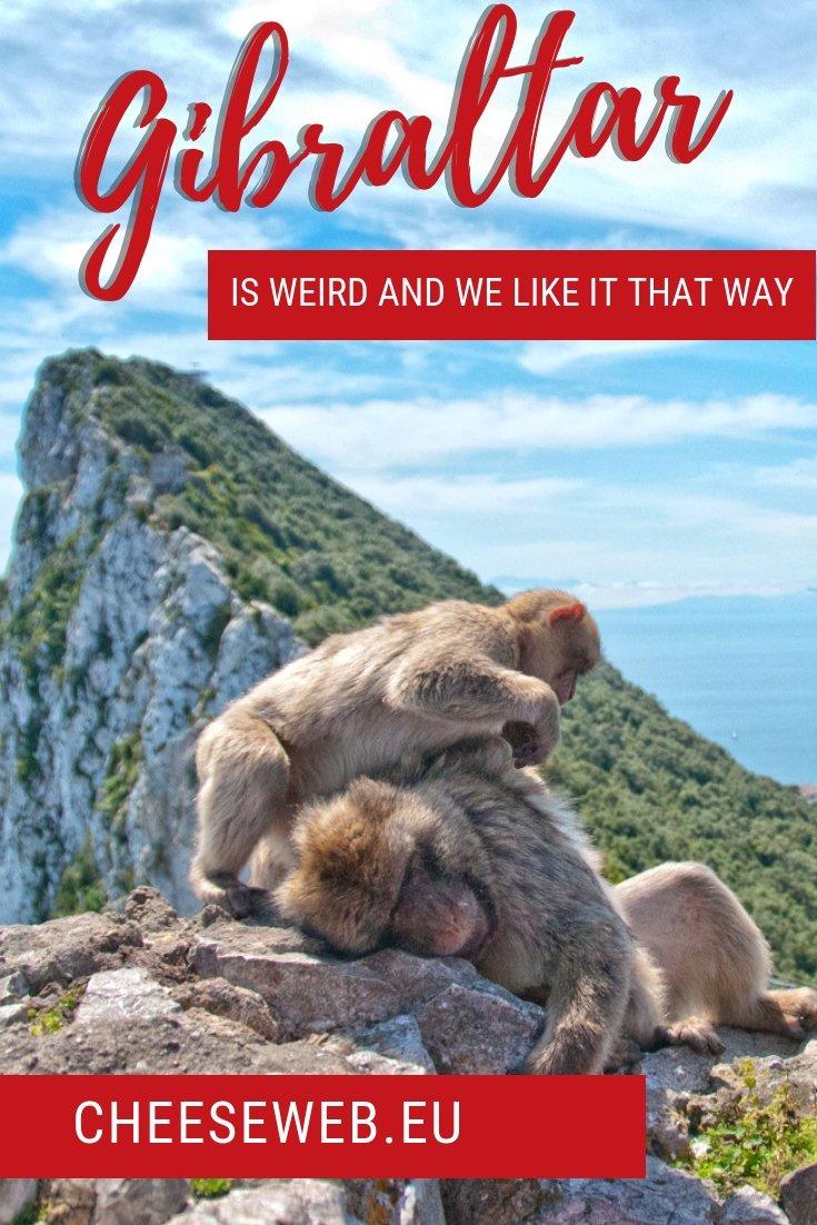 Gibraltar is weird. It's owned by England, yet dangles off the end of Spain. You have to drive across an airport runway to get to it and its main feature is a giant rock riddled with caves and inhabited by monkeys. We couldn't wait to discover all the weird things to do in Gibraltar!