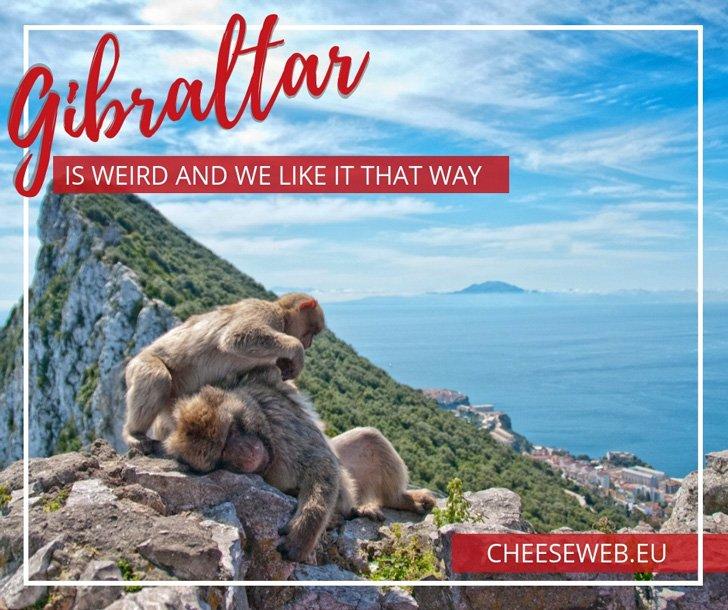 Gibraltar is weird. It's owned by England, yet dangles off the end of Spain. You have to drive across an airport runway to get to it and its main feature is a giant rock riddled with caves and inhabited by monkeys. We couldn't wait to discover all the weird things to do in Gibraltar!