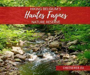 Secluded woodlands, waterfalls and hundreds of km of forest trails - this is hiking in the Hautes Fagnes Nature Reserve, in Belgium's Eastern Cantons - German-speaking area of Liege in Wallonia.
