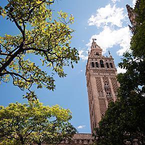 The Giralda is the famous bell tower of the Seville Cathedral