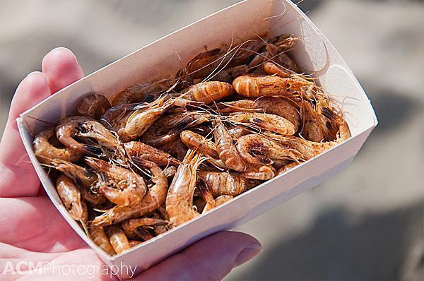 Belgian grey shrimps street food fresh from the sea