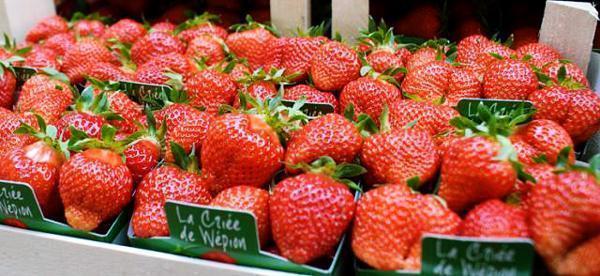 Delicious Wépion Strawberries