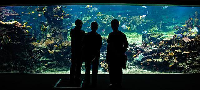 NAUSICAA Aquarium, Boulogne-Sur-Mer, France
