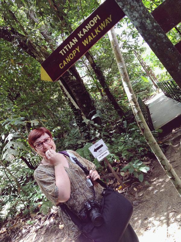 Having second thoughts about the canopy walkway...