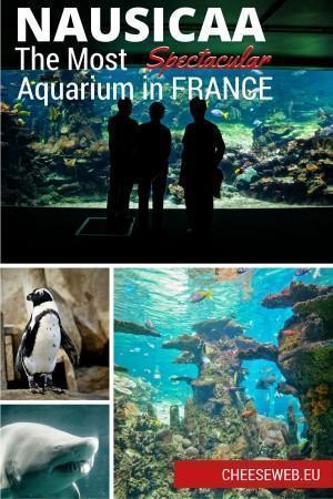 The NAUSICAA Aquarium, in Boulogne-Sur-Mer, is France's largest aquarium.