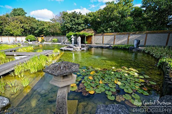 Oostende's tranquil Japanese Zen Garden