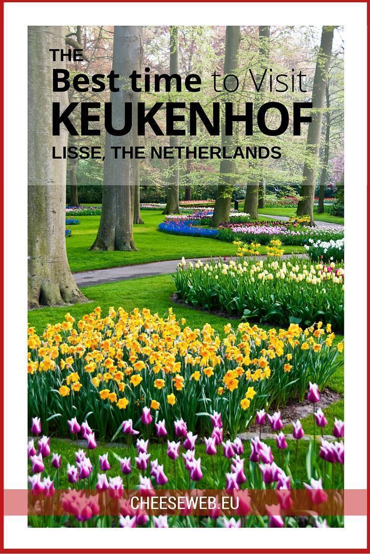 The Best time to visit Keukenhof Gardens, in Lisse, the Netherlands