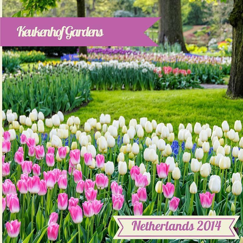 Visit Keukenhof Gardens, Lisse, Netherlands
