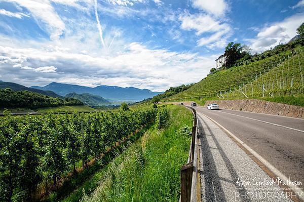 The South Tyrolean Wine Road