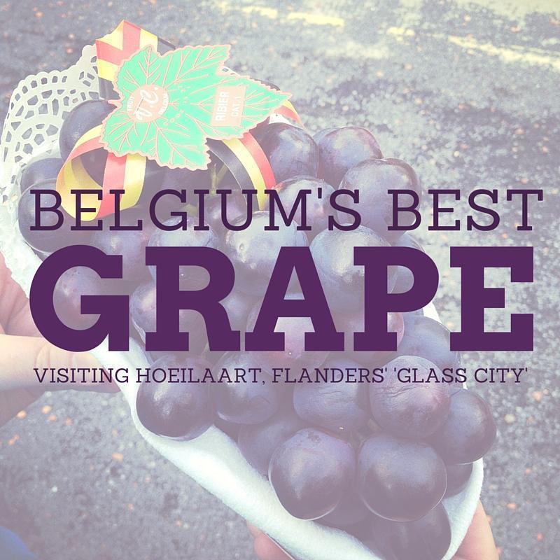 Belgium's Best Grape comes from Hoeilaart, near Brussels