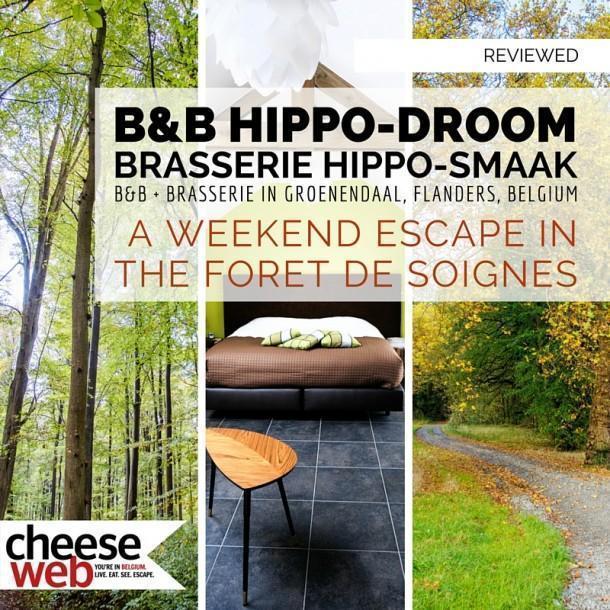 Reviewed: B&B Hippo-Droom - A Weekend Escape To Belgium's Forêt De ...